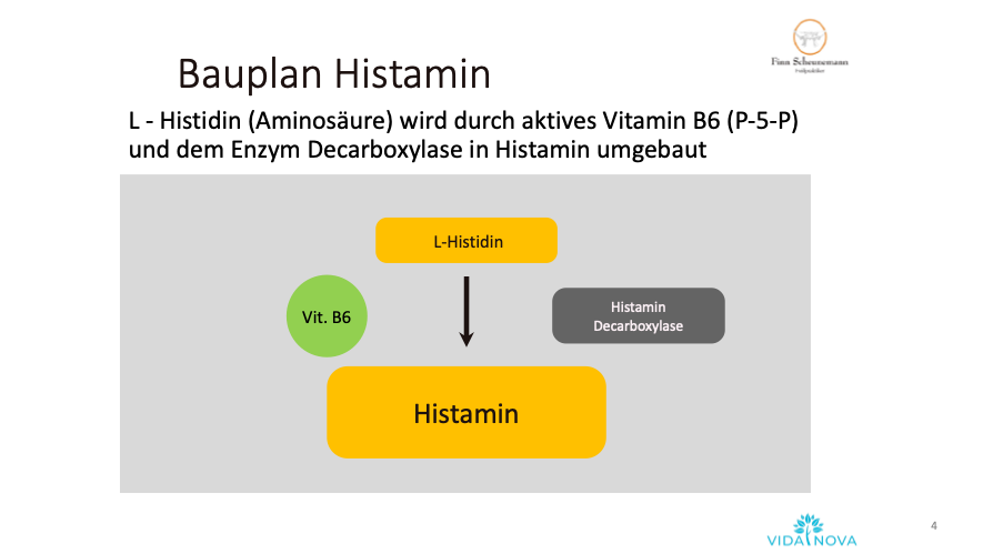 Histamin Entstehung